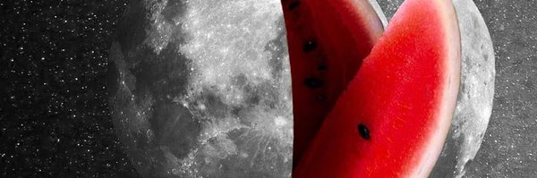 MelonTusk51 Profile Banner