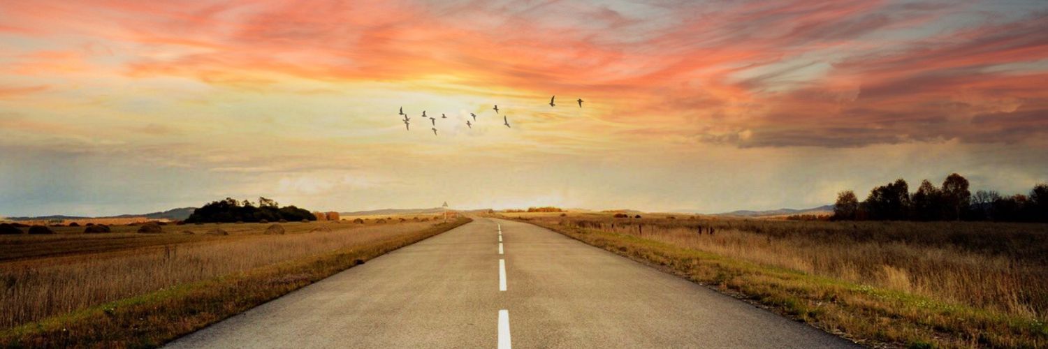 边走边看（互fo） banner