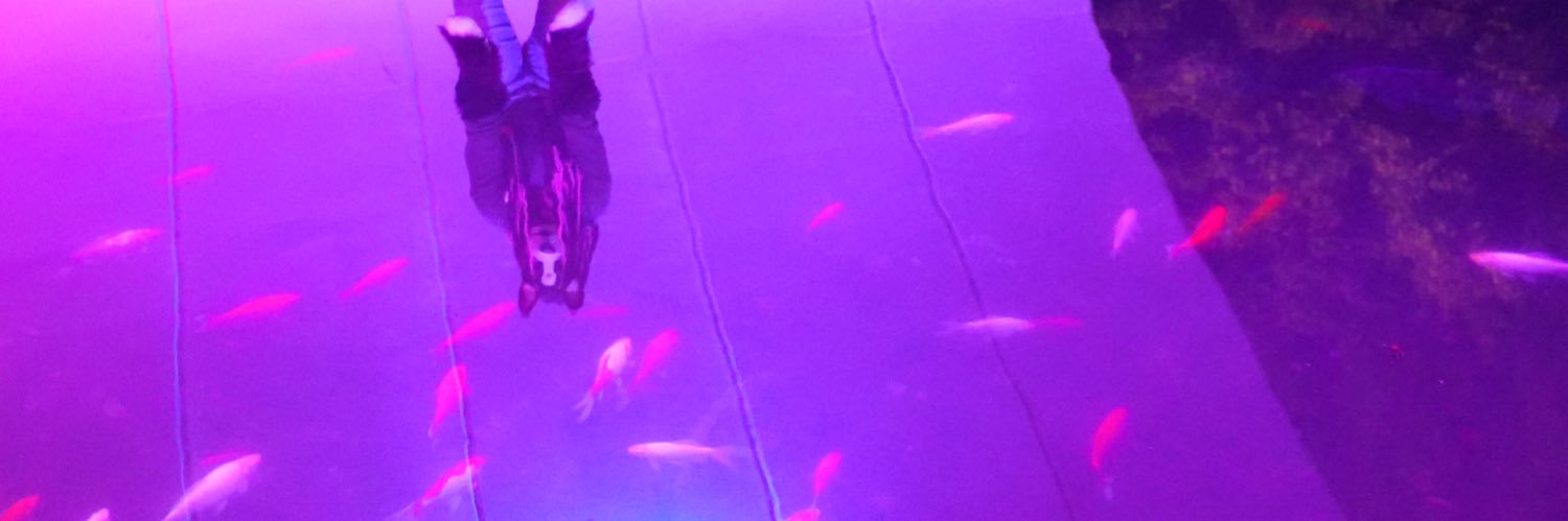 🌸Elias🌸 banner