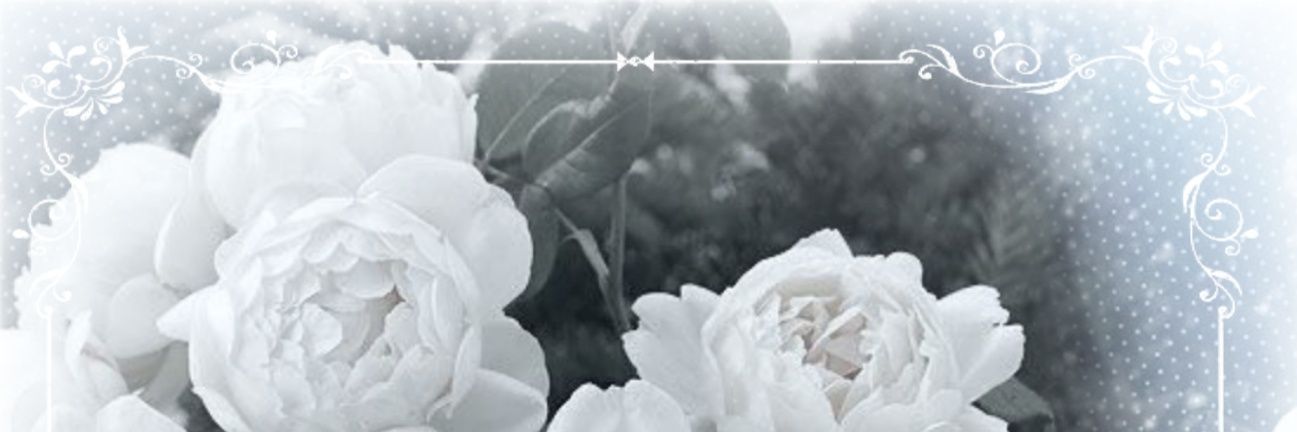 Kami🎀's banner