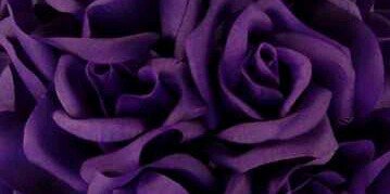 robinlynna76's profile banner image