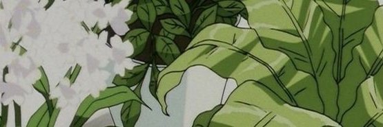 Luna 🍑 banner