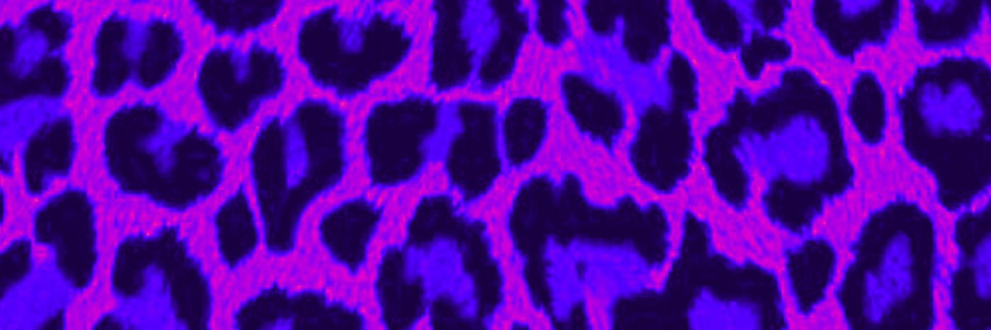 Sindè banner