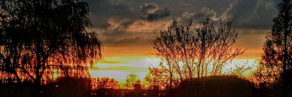 ReggyRuma's profile banner image