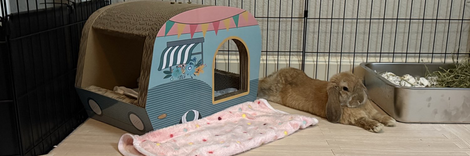 Kitkatt___'s profile banner image