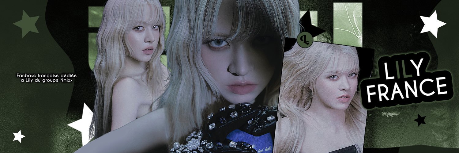 LILY France banner