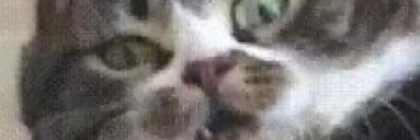 mattsopposite Profile Banner