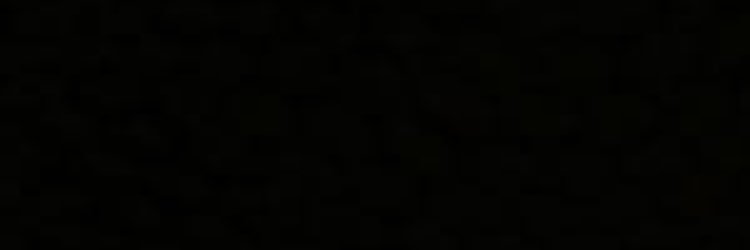 DaReal_Fees's profile banner image
