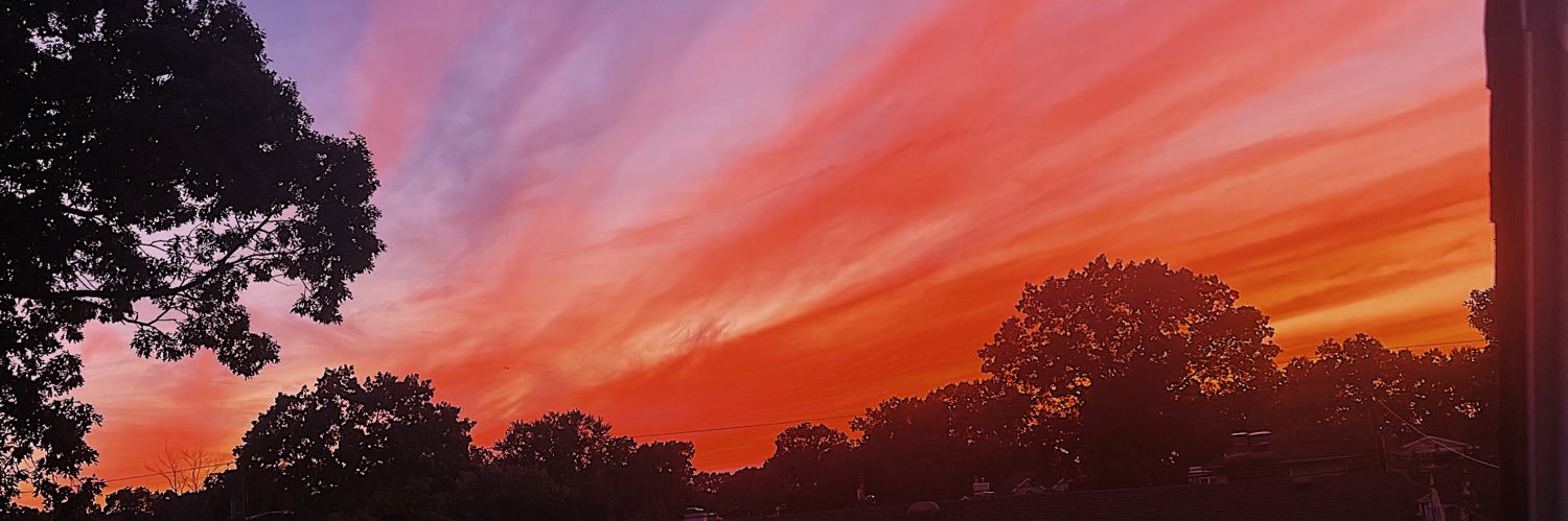 meghandorn's profile banner image