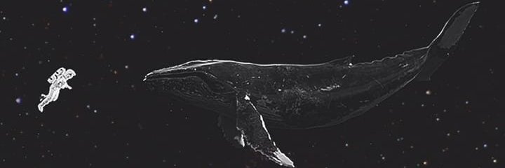 aliana_ry's profile banner image