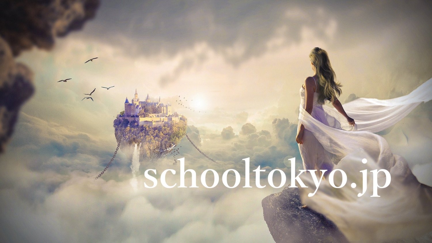 syosekiDVD's profile banner image