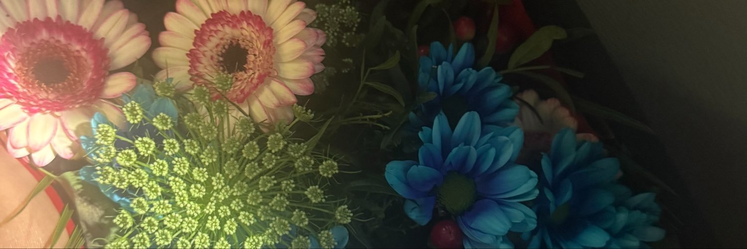 Ooderda's profile banner image