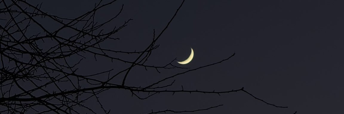 rozhinnal's profile banner image