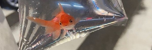 diyyyg Profile Banner