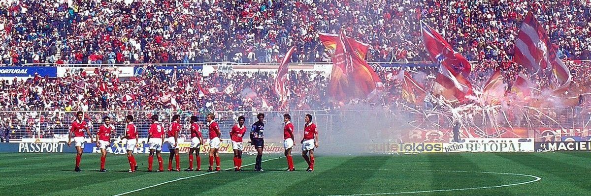 João Fernandes banner