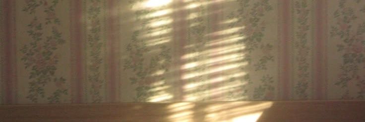 fleurcierr's profile banner image