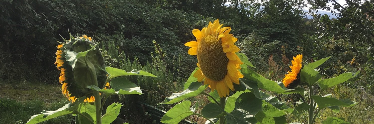 mtthwcmsky's profile banner image