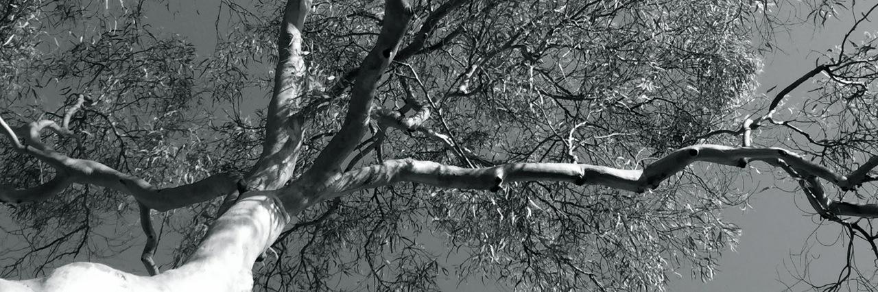 SJHardie's profile banner image