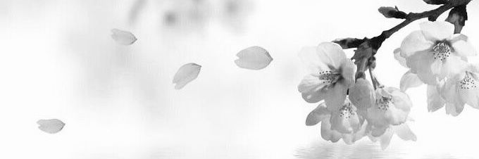 Agrex2166731's profile banner image