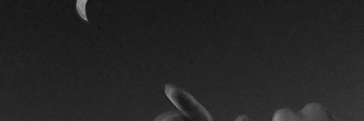 sya. banner