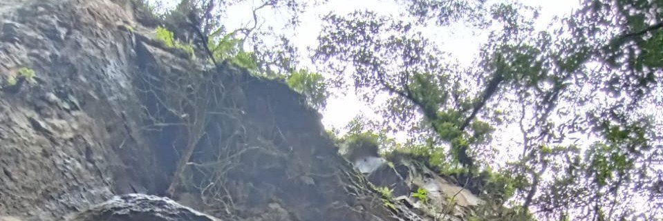 realdmp_'s profile banner image