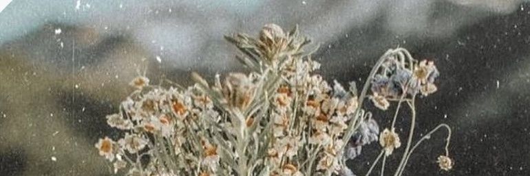 lenapaidah2's profile banner image