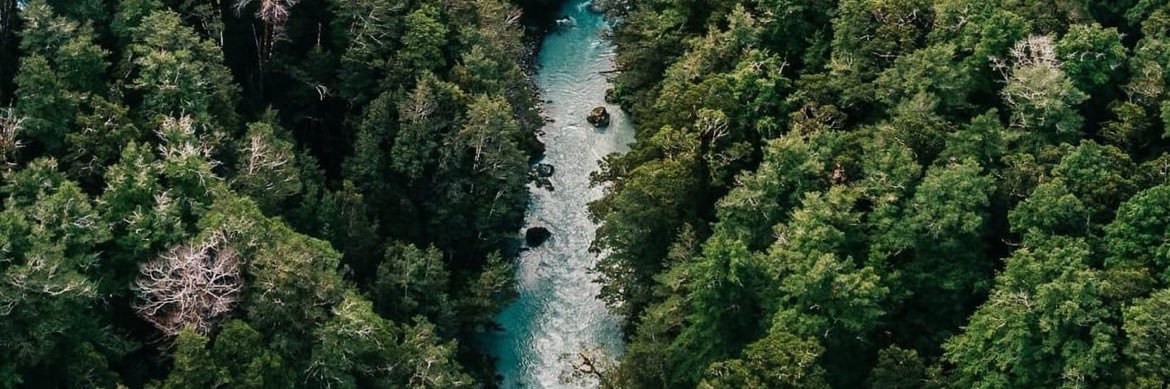 Mātou Collective banner