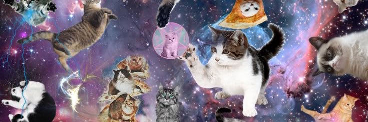 🧚‍♀️ banner