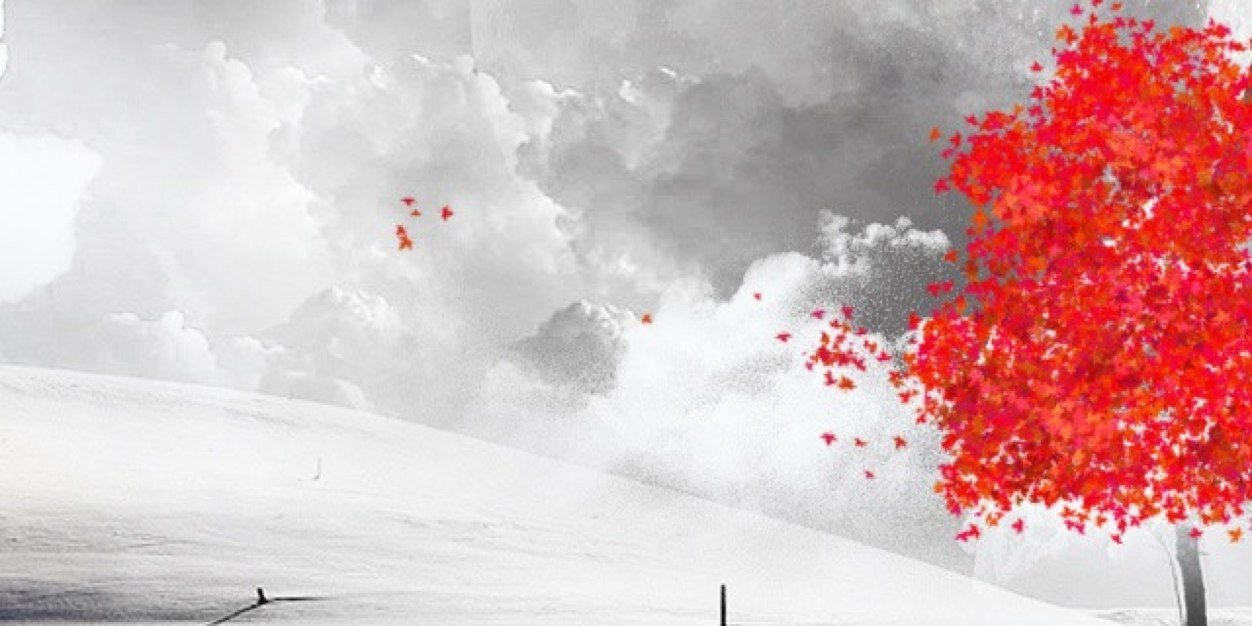 RenStarrM's profile banner image