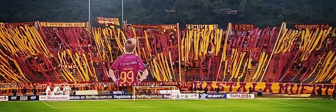 REVOLUCION VINOTINTO SUR banner