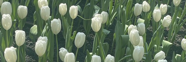 fffoammiii Profile Banner