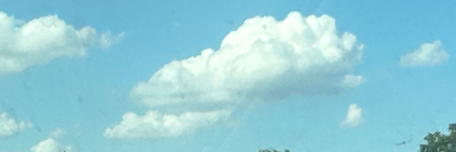AlexisLoomos's profile banner image