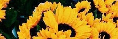OfficiallyTen_B's profile banner image
