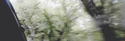 taylorpizzas's profile banner image