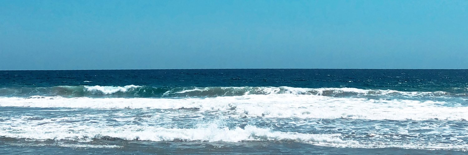cuquiCASANOVA's profile banner image