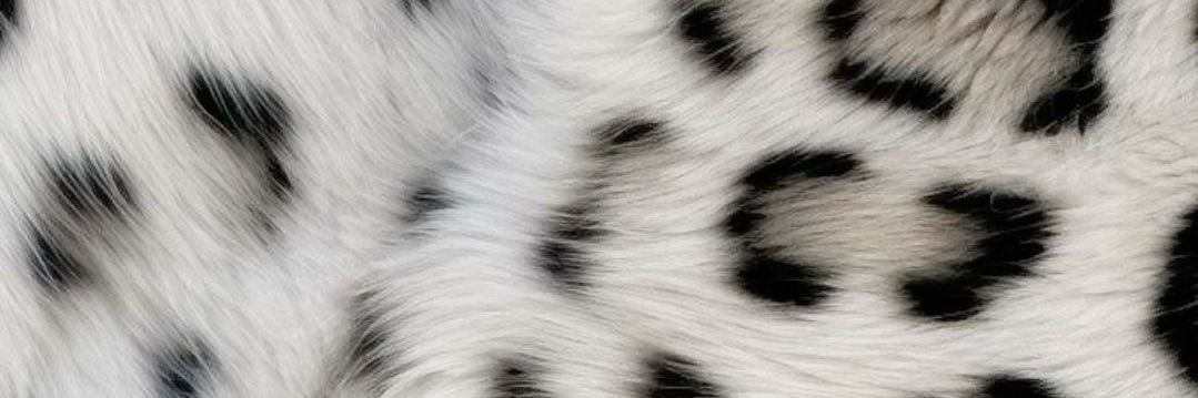 helo ‏𖦹 banner