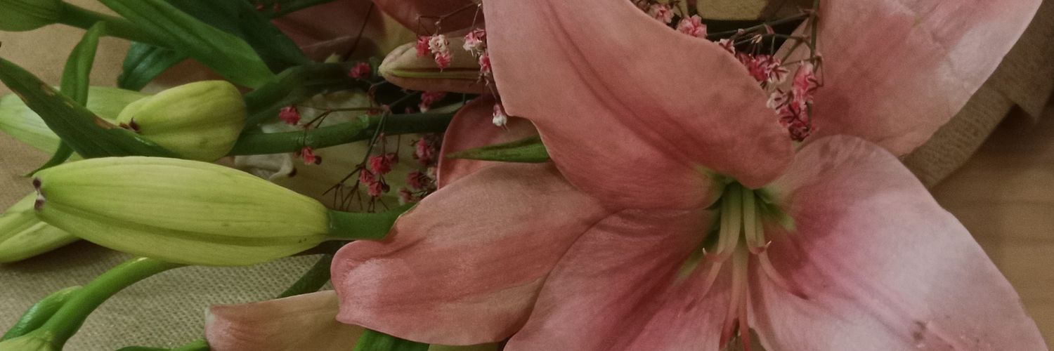 Sam banner