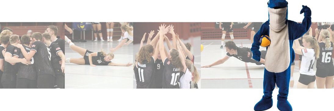 Aarhus_Studenternes_Volley banner