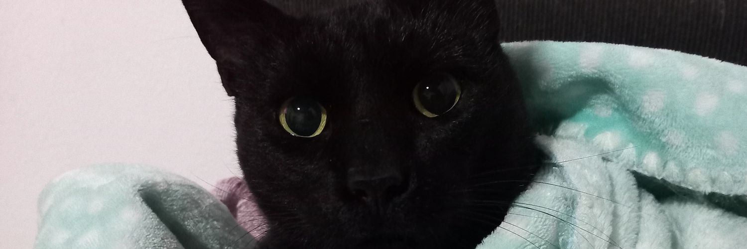 Aguusjacob's profile banner image