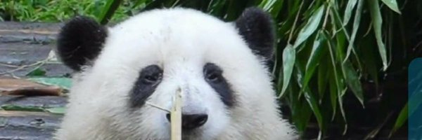 LukerChow Profile Banner