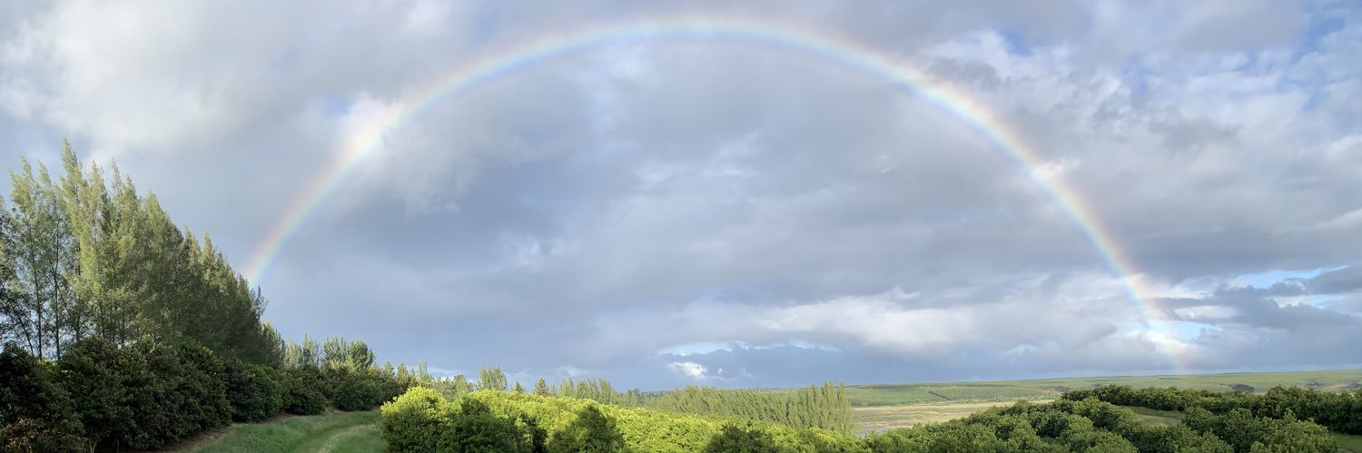 kobusherbst's profile banner image