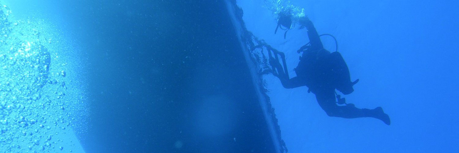 diver sar's banner