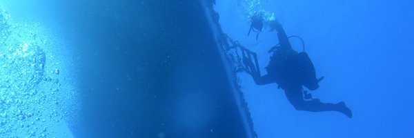 diversard01 Profile Banner