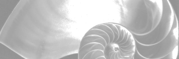 Chirs CarcIan $=1/∞. banner
