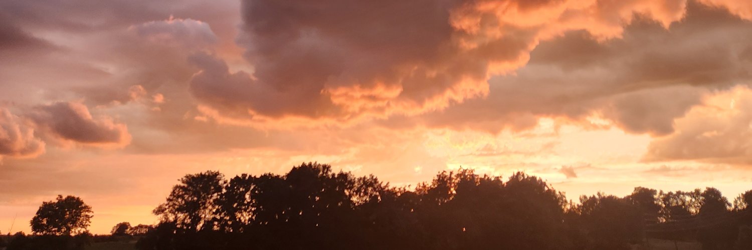 HRidiot's profile banner image