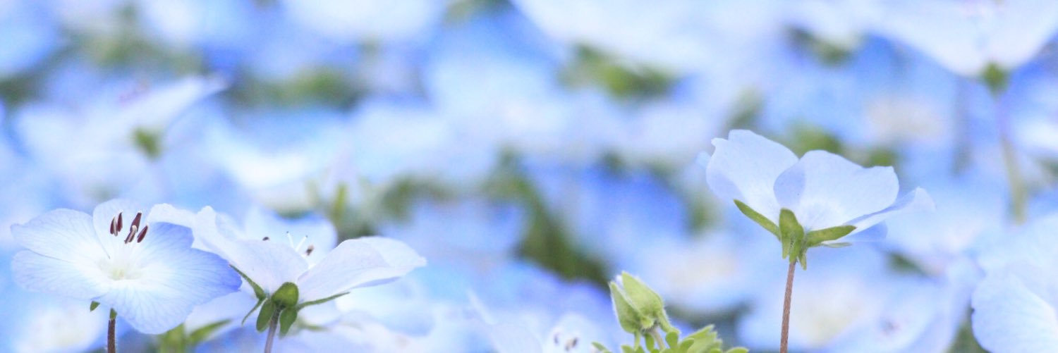 masa112jong's profile banner image