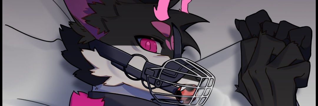 hdidheij's profile banner image