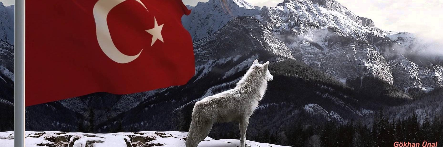 gokunall's profile banner image