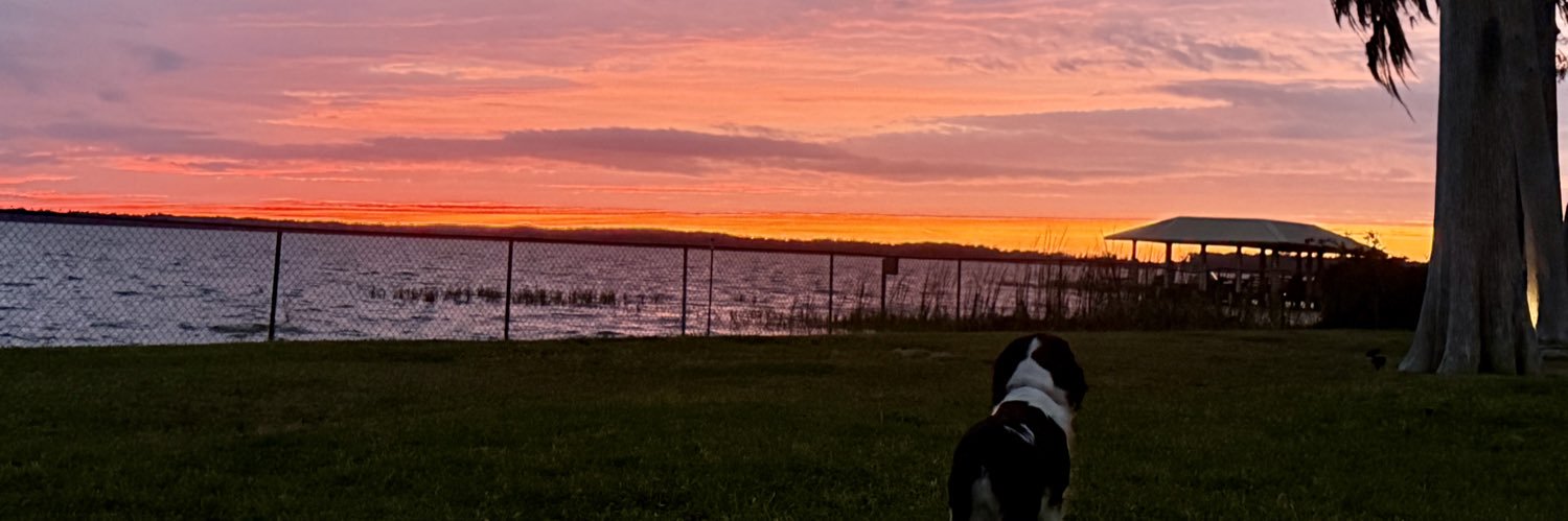 Kimberly Paulling banner