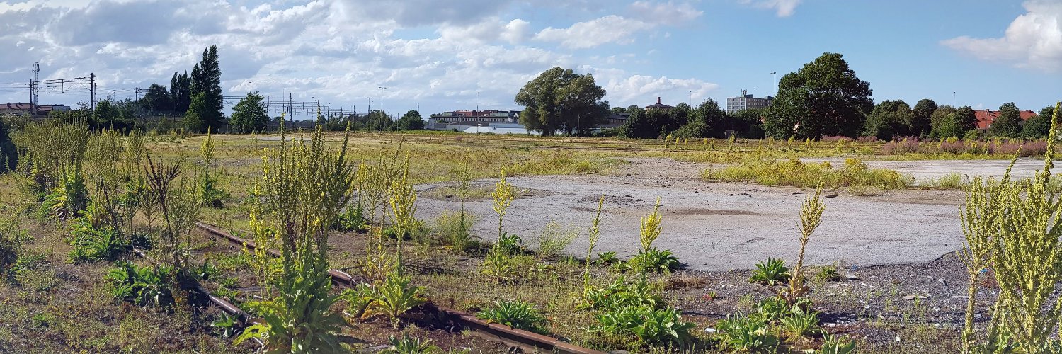 Jesper Larsson 🥜 banner